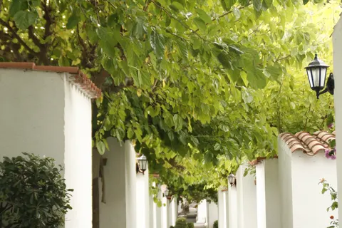 Vakantiepark Cala Montjoi foto 18