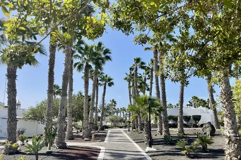 Palmeras Garden in Playa Blanca — foto 5