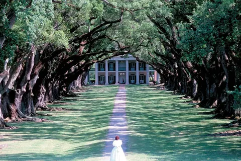 The American South foto 10