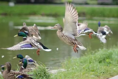 ACHAT Hotel Suhl foto 23