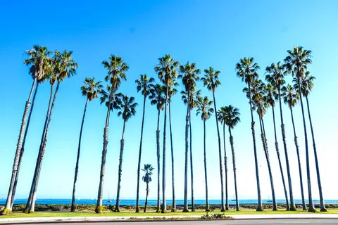 10-daagse rondreis Western Frontiers foto 5