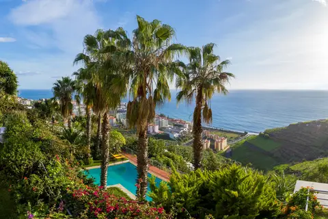 Casa do Papagaio Verde in Funchal — foto 3