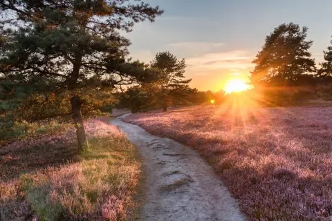 Buitenplaats de Bergse Bossen foto 33