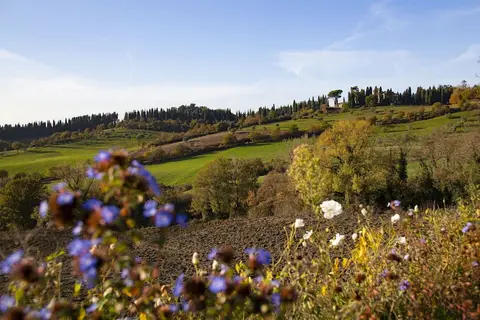 Agri Resort & SPA Le Colline Del Paradiso in Vaglia, foto 30