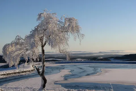 Chaletpark Diemelsee foto 1