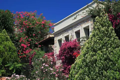 Hotel Zeytinada in Bodrum, foto 15