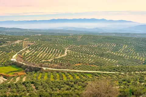 Gouden Driehoek van Andalusië in Hernani — foto 5