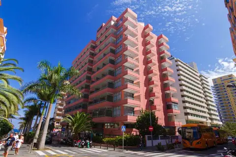 Checkin Concordia Playa in Puerto de la Cruz — foto 4
