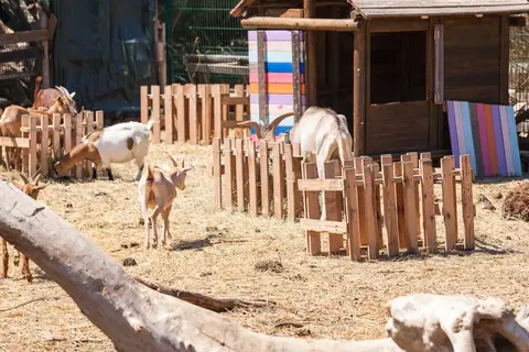 Camping Le Méditerranée-plage in Vias — foto 4