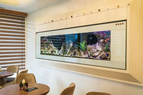 Hotel Kadmo by Aycon in Budva — foto 18