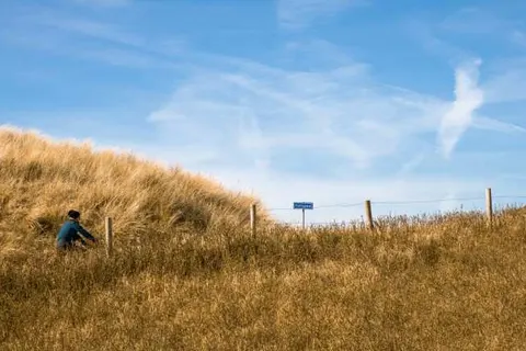 Dormio Villapark Duynzicht foto 15