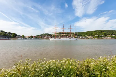 Seine Symphony met HS Monarch Countess foto 15