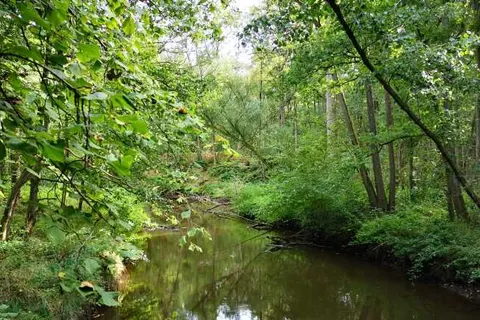 Camping Geelenhoof foto 16