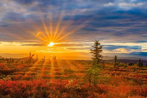 Grand Alaska Tour foto 12