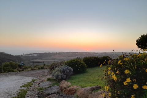 Quinta dos Raposeiros foto 18