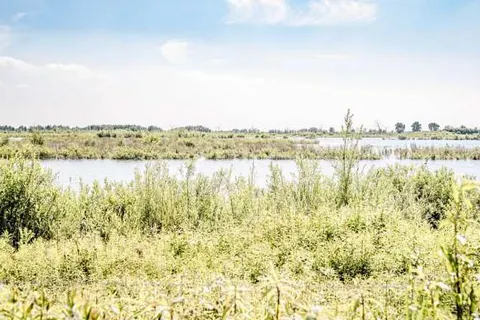 TinyParks Cast Away foto 16