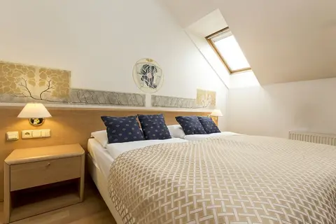 Hotel Tivoli in Praag, foto 19