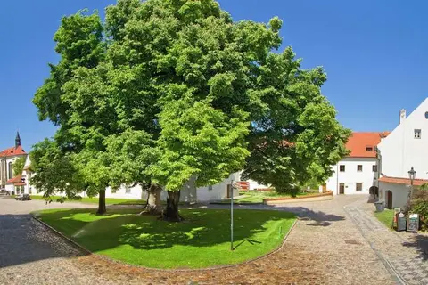 Hotel Monastery in Praag, foto 13
