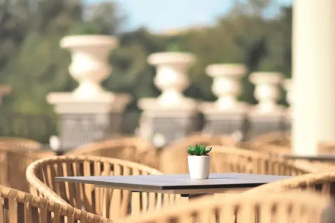 Astor Garden Hotel in Златни пясъци — foto 22
