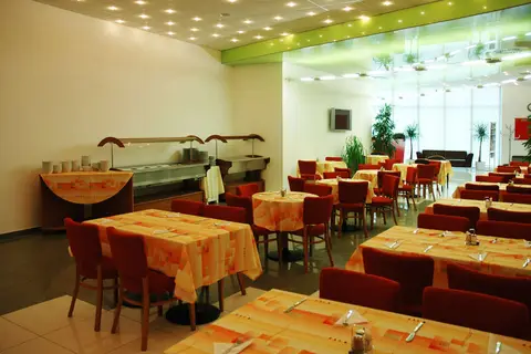 Olympik Artemis Hotel in Praag, foto 8