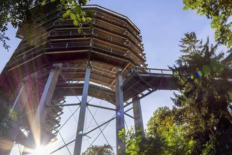 Vis Saar Vie foto 20