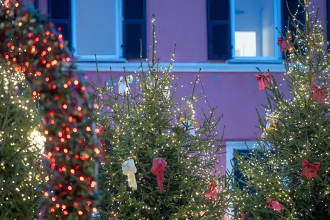 Kerst nabij Toscane en Cinque Terre, Ameglia in Ameglia — foto 2