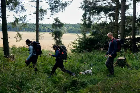 Puur en Ongerept Zweden in Zweden — foto 3