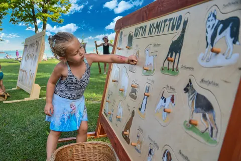 Camping Füred foto 21