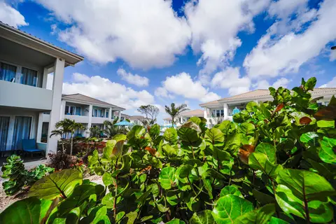 Habitat Bonaire in Kralendijk, foto 40