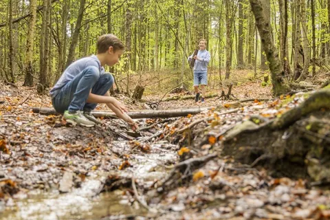 Ardennen Camping Bertrix foto 5