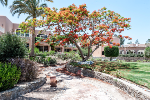 Club Paradisio El Gouna foto 8