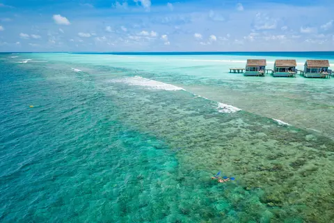 Kuramathi Maldives in ރަސްދޫ — foto 22