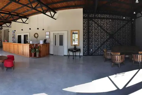 Hotel Kriopigi in Δημοτική Ενότητα Κασσάνδρας — foto 16