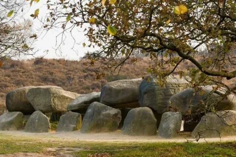 Camping De Toffe Peer foto 17