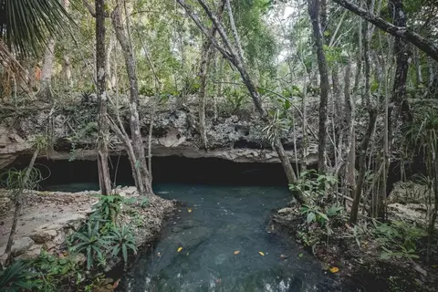 Wakax Hacienda in Manuel Antonio Ay — foto 10