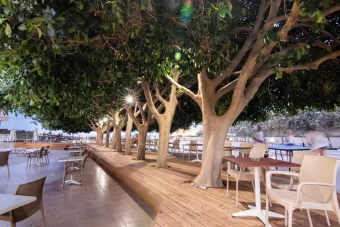 Chrissy’s Paradise in Καλαβάρδα — foto 30