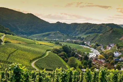 Country Camp Echternacherbruck foto 20