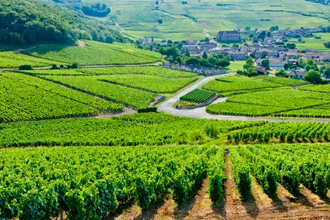 Camping La Clé De Saône foto 12