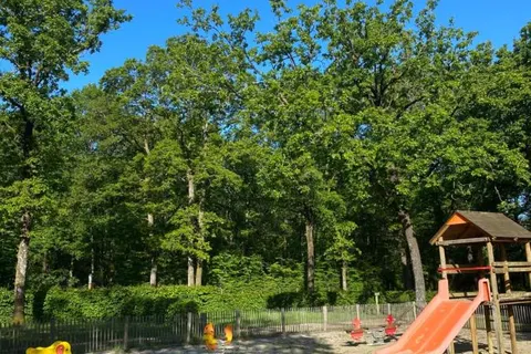 Camping La Forêt foto 9