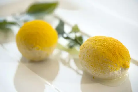 Lefay Resort & Spa Lago di Garda in Gargnano — foto 12