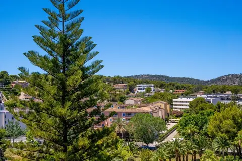 Econotel Las Palomas in Palmanova — foto 4
