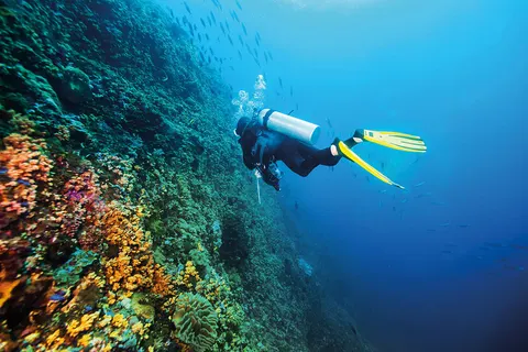 Resort Girandella Valamar foto 37