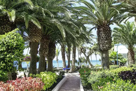 VIK Hotel San Antonio in Puerto del Carmen, foto 13