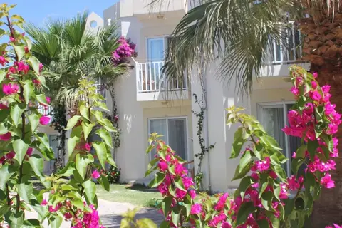 Fly & Go Explore Viras Hotel in Bodrum, foto 6
