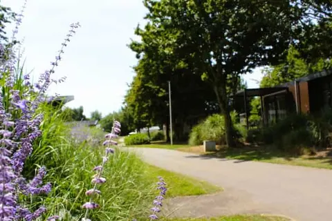 Maaspark de Lithse Ham foto 6