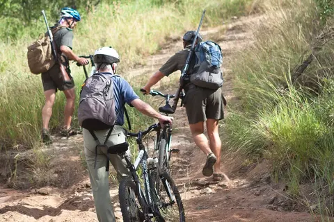 Ultimate Safari Experience - Sefapane Lodge in Pretoria — foto 3