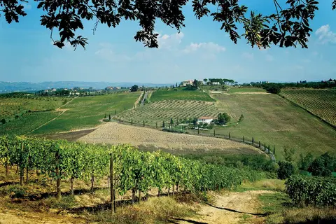 Poderi Arcangelo in San Gimignano