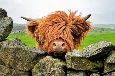 Highlands en Hebriden in Schotland, Hebriden en Shetland Eilanden — foto 2