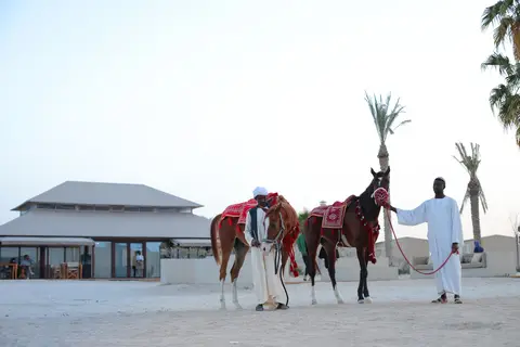 The Outpost Al Barari in مسيعيد — foto 12