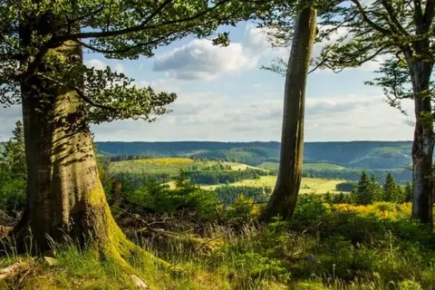 Hotel Sportalm Gipfelglück foto 22